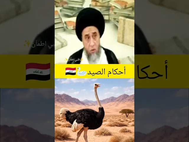 ⁣صيد النعامه في البر. 💓🙏سيد صباح شبر