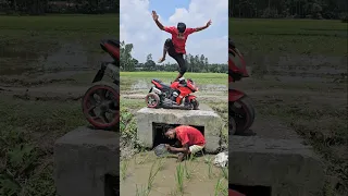                                                 دندنها