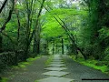 Ryuichi Sakamoto - Forbidden Colours (Original)