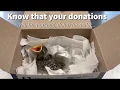 Your Donations At Work