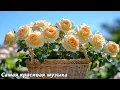 Download Lagu Музыка для души🌿Которую хочется слушать вечно🌿Лучшие композиции Сергея Грищука