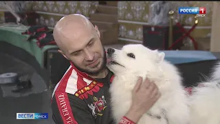 Омский цирк возвращается к работе