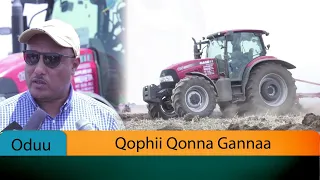 Qophii Qonna Gannaa  Qophii Qonna Gannaa