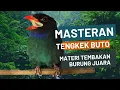 Download Lagu Masteran burung tengkek buto | Materi tembakan burung juara