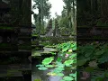 Download Lagu Temple Rain Harmony - Bali