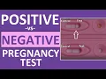 Pregnancy Test Positive vs Negative Results Time Lapse