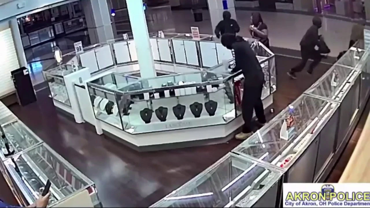 Jewelry Stores | Vanessa Nicole Jewels - Rachel's Cushion Cut Diamond Selection