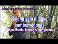 Bolang solo dapat Bambu kurung jumbo,Didesa sumber Winong@cahyohageshaitamachannel646