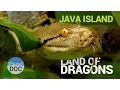 Lagu Java Island  [Indonesia]. Land of Dragons | Nature - Planet Doc Full Documentaries