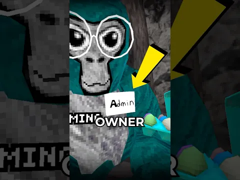 YOU Could Meet the OWNER #monkemayhem #gorillatag