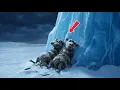 Lagu I FOUND the ICE AGE Characters ABANDONED in Antarctica