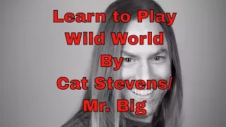 Download Learn How to Play Wild World by Cat Stevens/Mr. Big - Steve Stine Guitar Lesson MP3