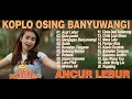 Lagu ANCUR LEBUR, GULU PEDOT, ACLAK - DINI KURNIA - FULL ALBUM KOPLO OSING BANYUWANGI VIRAL