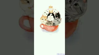 صور قطط انمي 