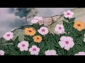 Download Lagu 🎵 봄 햇살 아래에서 그루브를 | Galdive