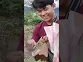 Download Lagu Beli Pikat Kutilang Harga 1 juta Rugi nggak Tuh??