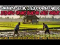 Lagu SAWAHNYA SELALU DIEJEK KARENA JELEK, DIBANTU BUNIAN JADI SUBUR - cerita mistis 