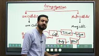 Summary Sec 1 Lesson 5 ملخص الدرس الخامس اولى ثانوي شرح اسطوري Integrated Science علوم متكاملة Sec 1 