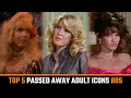 Top 5 Remembering Classic Adult Actresses debuted in 80s