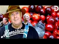 Download Lagu Mark and Digger Make Incredible Apple Cranberry Brandy | Moonshiners
