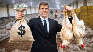 i raised 15 000 chickens in 30 days heres what i made