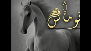 اغنية الفنان كامل يوسف لي نوماس كاملة يمان نجار كامل يوسف الكويت العراق سوريا نوماس Trending 