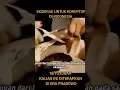 Download Lagu #eksekusi #mati #koruptor #hukum #keadilan #reels #shorts #nodrama