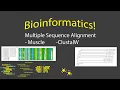 Multiple Sequence Alignment at the Terminal with Conda