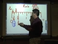How to read a ruler wmv