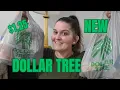 BRAND NEW DOLLAR TREE HAUL AMAZING FINDS NAME BRAND FOOD FINDS MY BIRT AY GOAL