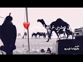 معنى المحبه فلاح المسردي