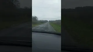 قدك انا يا حبيبي اللي هشدك 