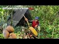 Bertahan hidup di hutan, menjelajah hutan selama 4 hari 4 malam, memasak sayuran liar | SURVIVAL