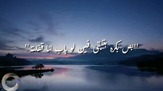 كدابين شيرين حالة واتس اب    دندنها