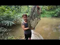 Download Lagu ANGKAT BUBU PAYUNG SELEPAS TIGA HARI DIBIARKAN // AYAM BETINA IMPORT UNTUK BUJANG SIGAT // 