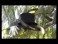 Download Lagu Tenci - Vanishing Coin (Official Video)