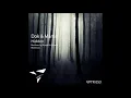 Dok & Martin - Hidden (Monococ Remix)