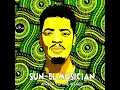 Sun-EL Musician Feat. Samthing Soweto - Akanamali (Extended Mix)