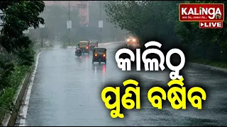 🔴 Live: କାଲିଠୁ ପୁଣି ବର୍ଷିବ || 08 September 2026 || Kalinga TV