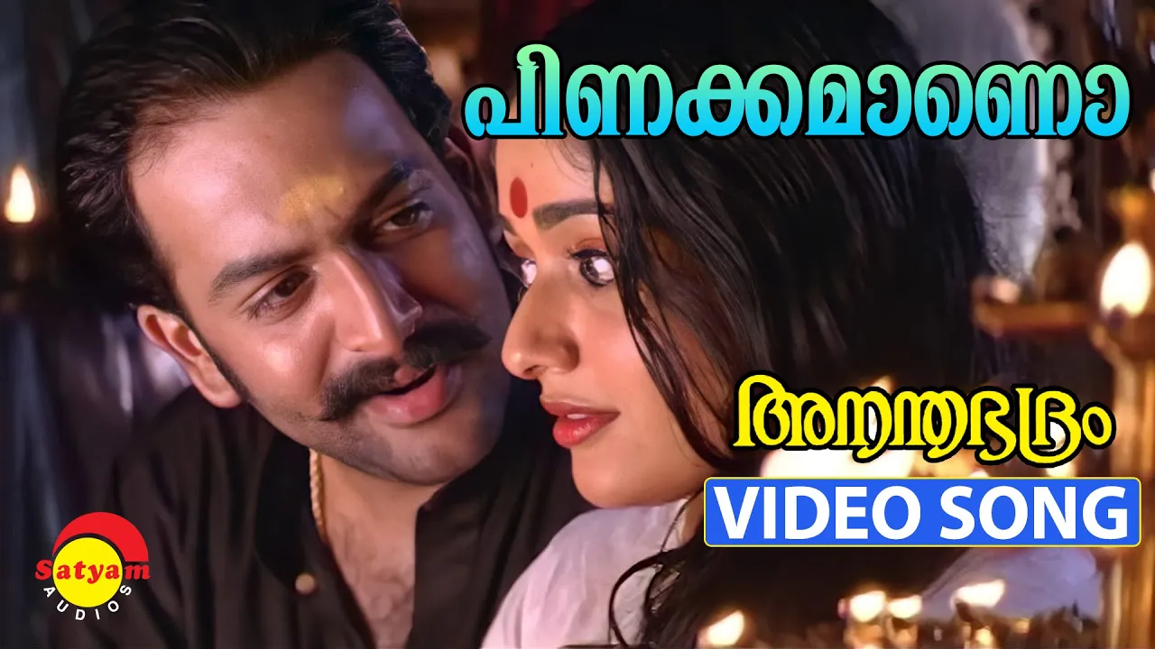 Pinakkamaano Ennodinakkamano | Video Song | Ananthabhadram | Prithviraj | Kavya Madhavan