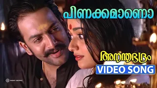 pinakkamaano ennodinakkamano video song ananthabhadram prithviraj kavya madhavan