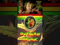 Reggae Remix 2024 - Jar of Heart  #reggae #remix
