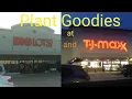 Plant Goodies at Big Lots and TJ Maxx