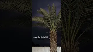 فدا الكرز واللؤلؤ المكنون ذوق تفاعلوا شيلات شيلة نادر الشراري غريب ال مخلص عبدالله ال مخلص 