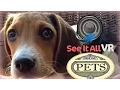 Park Ave Pets Rochester NY - 360 Virtual Realty Tour