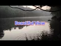 Peacefull Riverside Morning - Beautifull Nature Sounds 🌄😍
