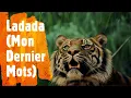 Download Lagu CLAUDE - LADADA (Mon Dernier Mots) (lyrics)