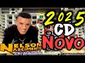 Download Lagu Nelson Nascimento CD 2025 - O Rei da Pizadinha 10 MUSICAS NOVAS 2025