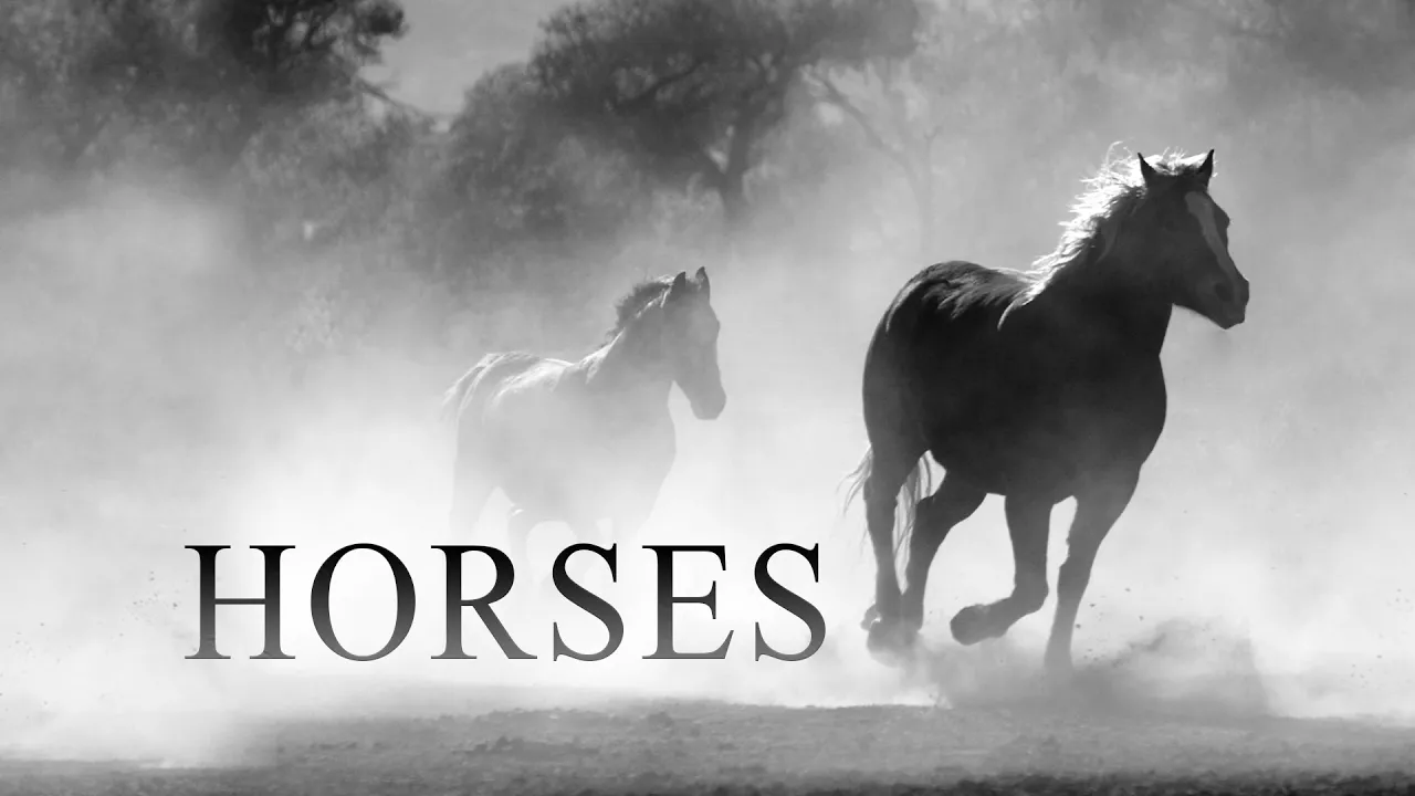 Relaxing and Cinematic Music Beautiful Piano and Cello, Relieve Stress, Anxiety & Depression