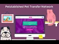Pet Transfer Network Tutorial